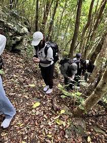 やんばるの森での研修