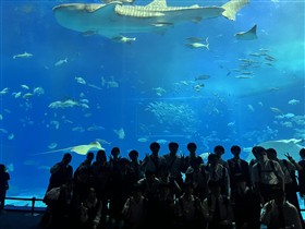 美ら海水族館での研修